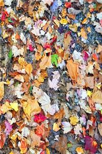 Journal Colorful Autumn Leaves Ground