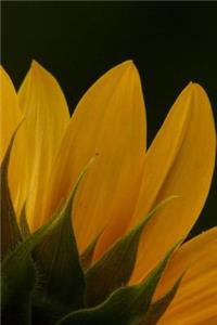 Sunflower Notebook