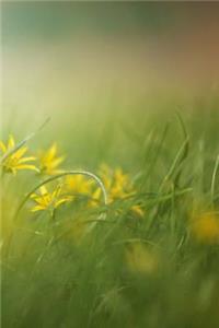 Summer Field Notebook