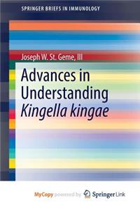 Advances in Understanding Kingella kingae