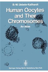 Human Oocytes and Their Chromosomes