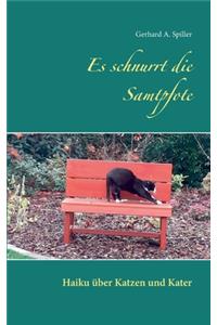 Es schnurrt die Samtpfote