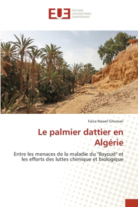 Le palmier dattier en Algérie