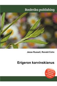 Erigeron Karvinskianus