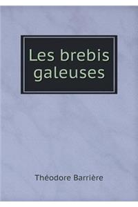 Les Brebis Galeuses