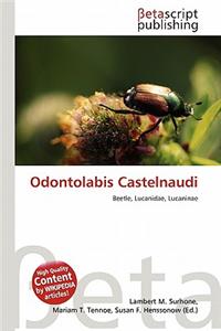 Odontolabis Castelnaudi