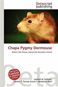 Chapa Pygmy Dormouse