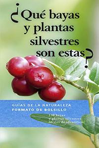 Â¿QUE BAYAS Y PLANTAS SILVESTRES SON ESTAS?