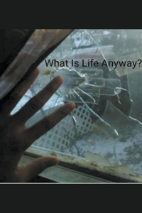 What Is Life Anyway?