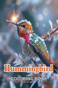 Hummingbird Coloring Book