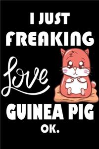 I Just Freaking Love Guinea Pig Ok.
