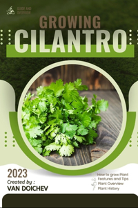 Cilantro