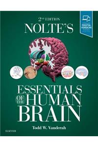 Nolte's Essentials of the Human Brain