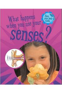 What Happens When You Use Your Senses?
