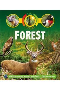 Life Cycles: Forest