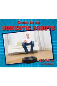 Zoom in on Domestic Robots