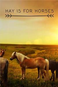 Hay is for Horses