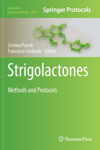 Strigolactones