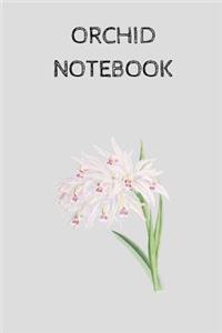 Orchid Notebook