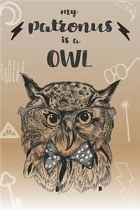 My Patronus is a Owl