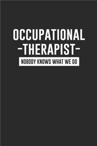 Occupational Therapist