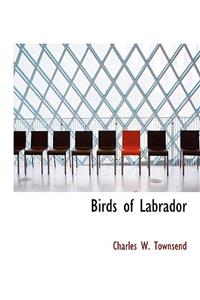 Birds of Labrador