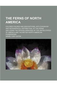 The Ferns of North America; Colored Figures and Descriptions, with Synonymy and Geographical Distribution, of the Ferns (Including the Ophioglossace )