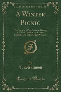 A Winter Picnic