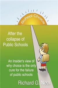 School Choice After the Collapse of Public Schools