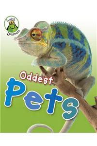 Oddest Pets
