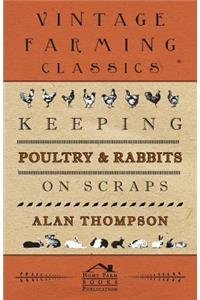 Keeping Poultry and Rabbits on Scraps