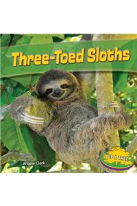 Three-Toed Sloths