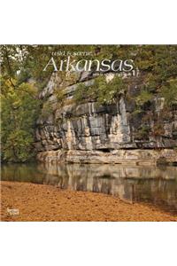 Arkansas Wild & Scenic 2019 Square Foil