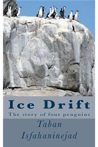 Ice Drift
