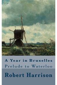 A Year in Bruxelles