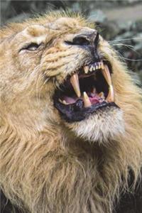 Roar of the Lion Journal