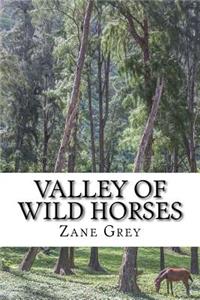 Valley of Wild Horses