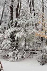 Journal Scenic Winter Weather Snowstorm