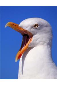 Seagull Has Something to Say ... Probably Give Me a Fish Journal