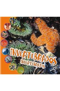 Invertebrados (Invertebrates)