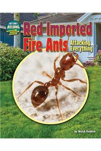 Red Imported Fire Ants