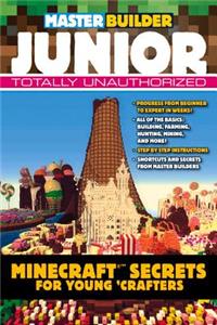 Master Builder Junior