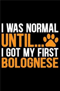 I Was Normal Until I Got My First Bolognese