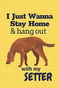 I just wanna stay home & hang out with my Setter