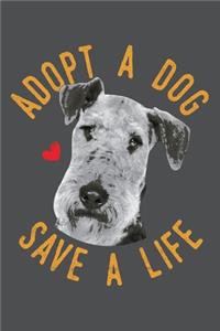 Adopt A Dog Save A Life