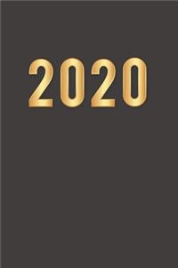 2020 Daily Planner Full Page a Day