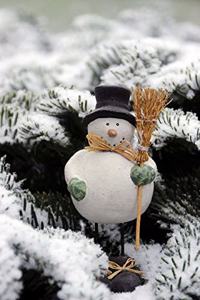 Snowman notebook - achieve your goals, perfect 120 lined pages #1