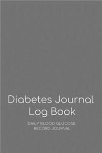 2 Year Diabetes Journal Log Book