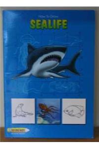 How To Draw Sealife