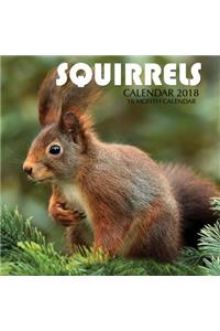 Squirrels Calendar 2018